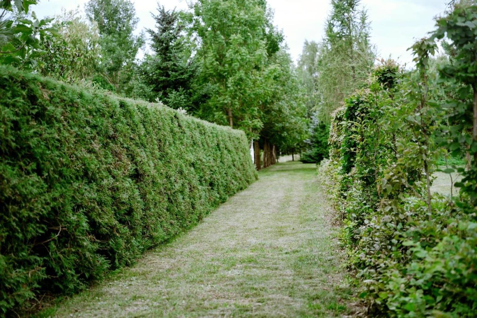 Zielona Parcela Pisz Exterior photo
